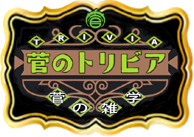 トリビアバナー背景なし